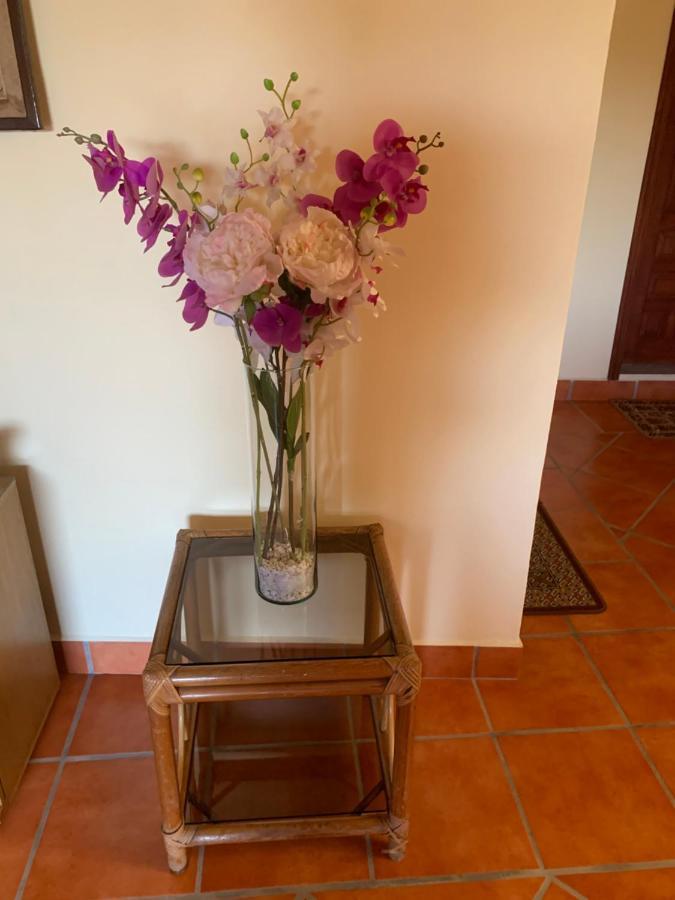 Casa Fraile San Miguel Appartement San Miguel de Allende Buitenkant foto